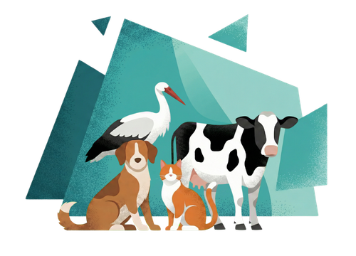  Ilustração Congresso Animal 5